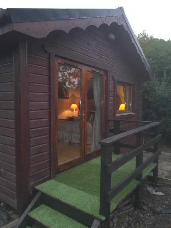 Stay With Your Pet Cill Airne Exteriör bild