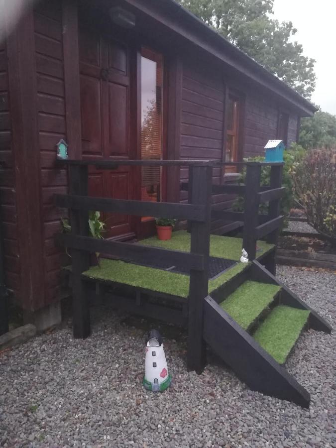 Stay With Your Pet Cill Airne Exteriör bild