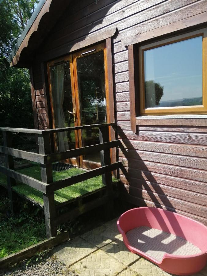 Stay With Your Pet Cill Airne Exteriör bild